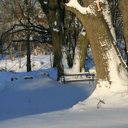 Bed and Breakfast Somhegyi Oereg Harsfak Major Vendeghaz Bakonybél Zewnętrze zdjęcie