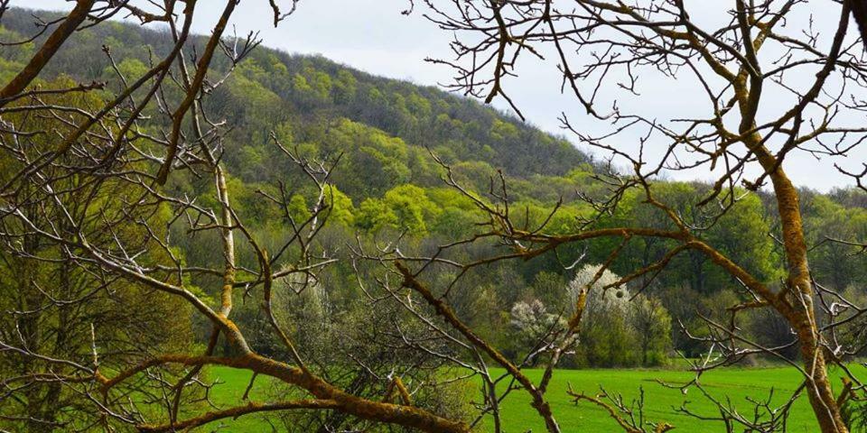 Bed and Breakfast Somhegyi Oereg Harsfak Major Vendeghaz Bakonybél Zewnętrze zdjęcie