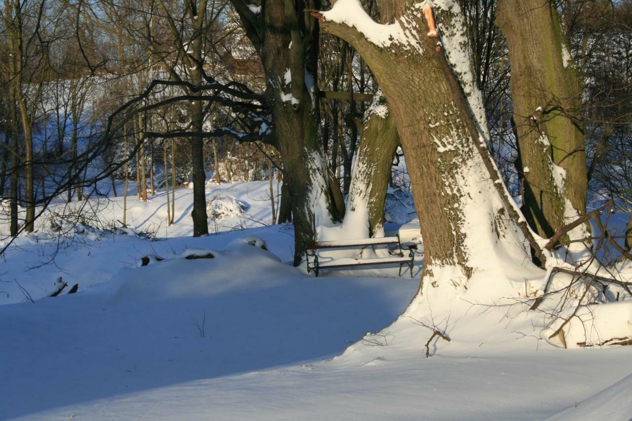Bed and Breakfast Somhegyi Oereg Harsfak Major Vendeghaz Bakonybél Zewnętrze zdjęcie